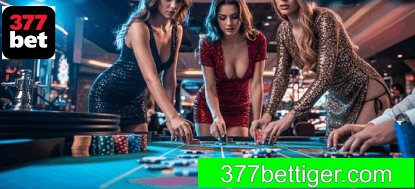 Cassino 377BET app mobile